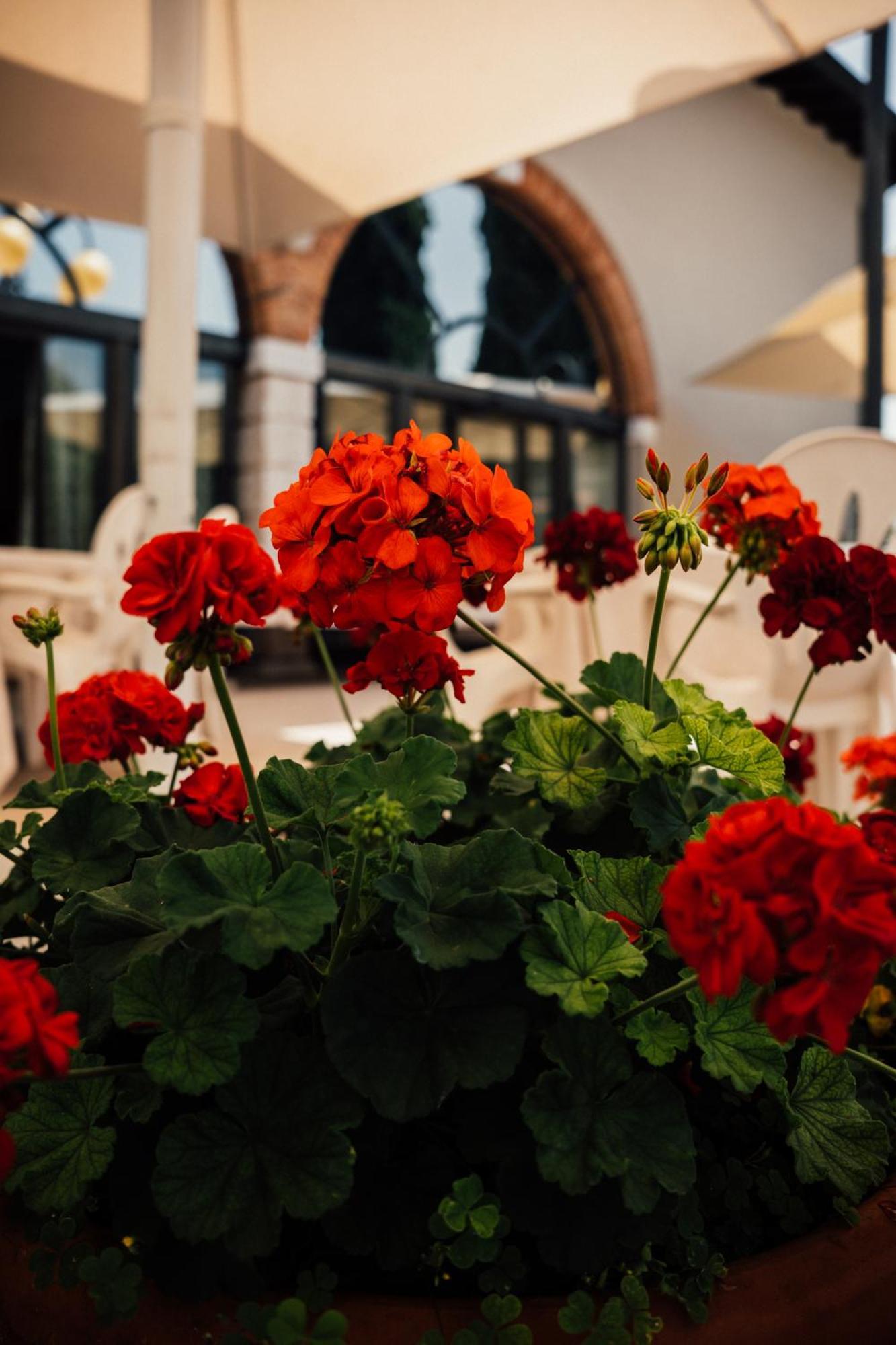 Albergo La Meridiana Castelnuovo del Garda Ngoại thất bức ảnh